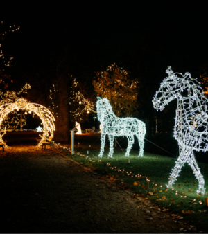 Svetelný park v Seredi - ilustračný obrázok